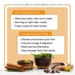 Liver Shield Combo Pack - Image 10